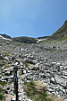 p1005331.jpg