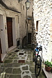 p1005345.jpg
