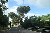 p1005380.jpg