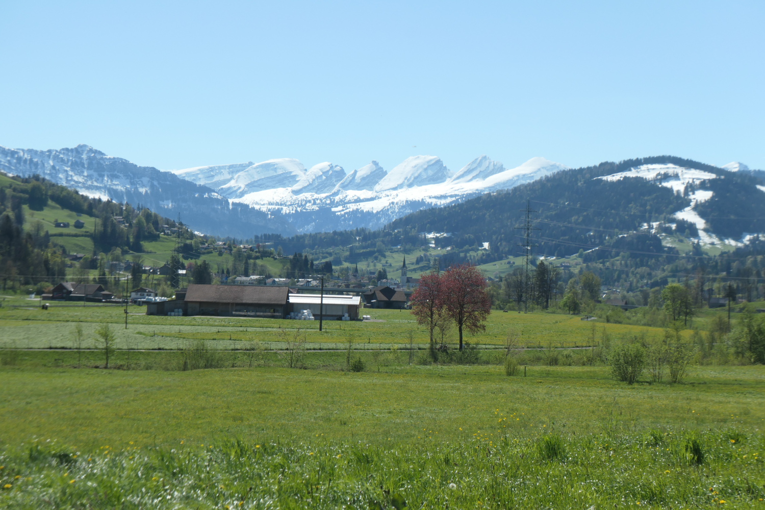 p1004617.jpg