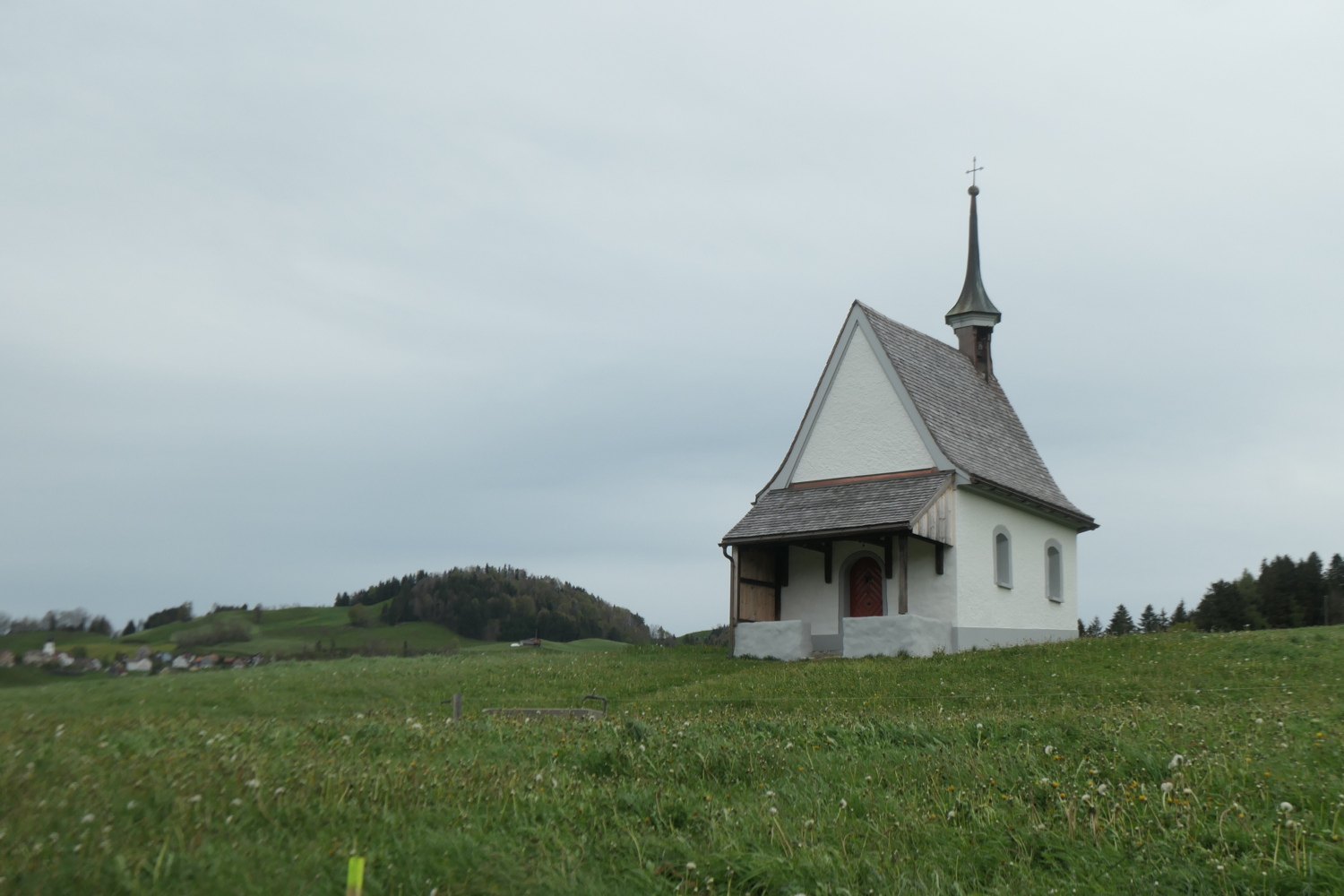 p1004657.jpg
