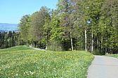 p1004614.jpg
