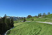 p1004622.jpg