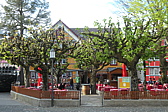 p1004641.jpg