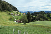 p1004675.jpg