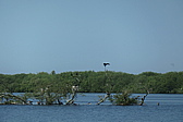 p1004821.jpg