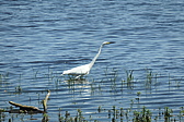 p1004860.jpg