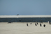 p1004891.jpg