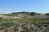 p1004899.jpg