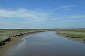 p1004906.jpg
