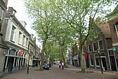 p1004930.jpg