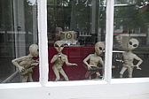 p1004963.jpg