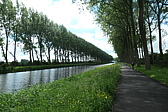p1005111.jpg