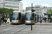p1005178.jpg
