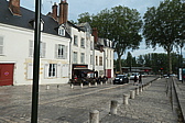p1005185.jpg