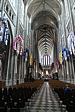 p1005204.jpg