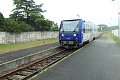p1005218.jpg
