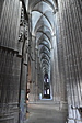 p1005245.jpg