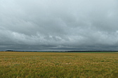 p1005260.jpg