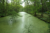 p1005273.jpg