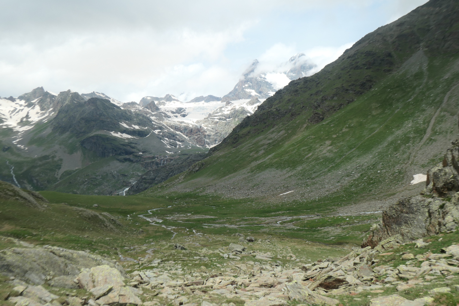 p1005463.jpg