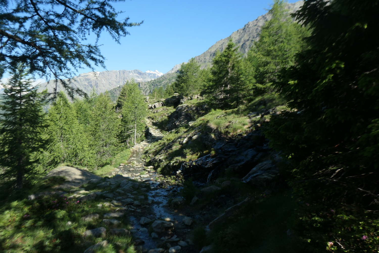 p1005483.jpg