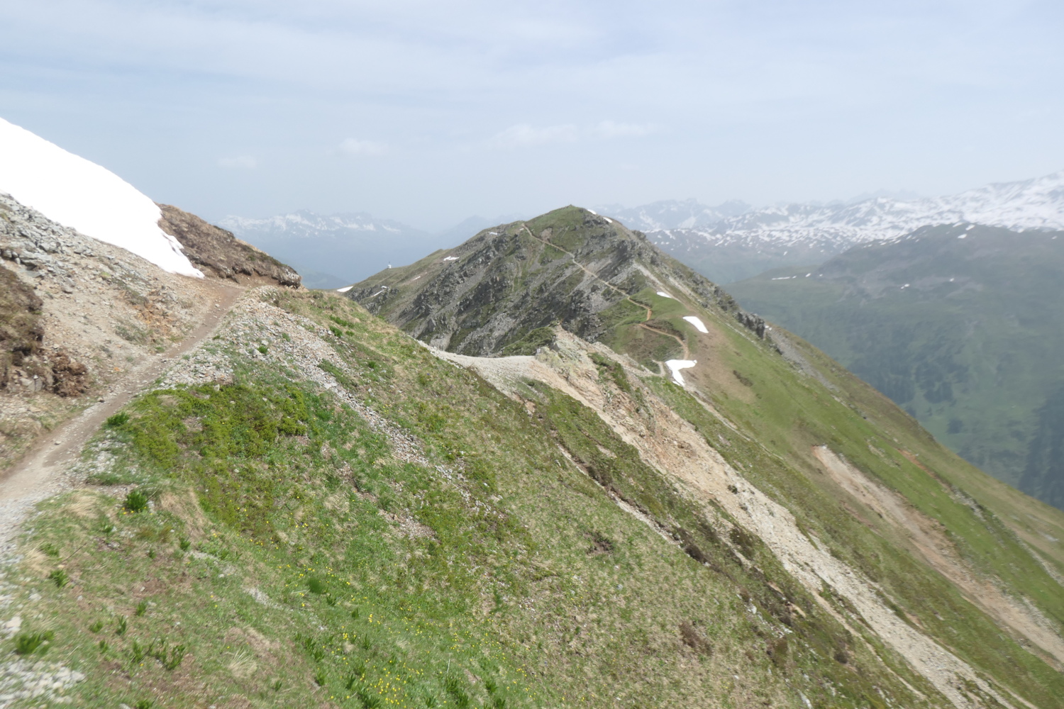 p1005404.jpg