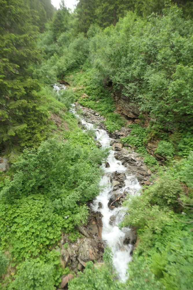 p1005414.jpg