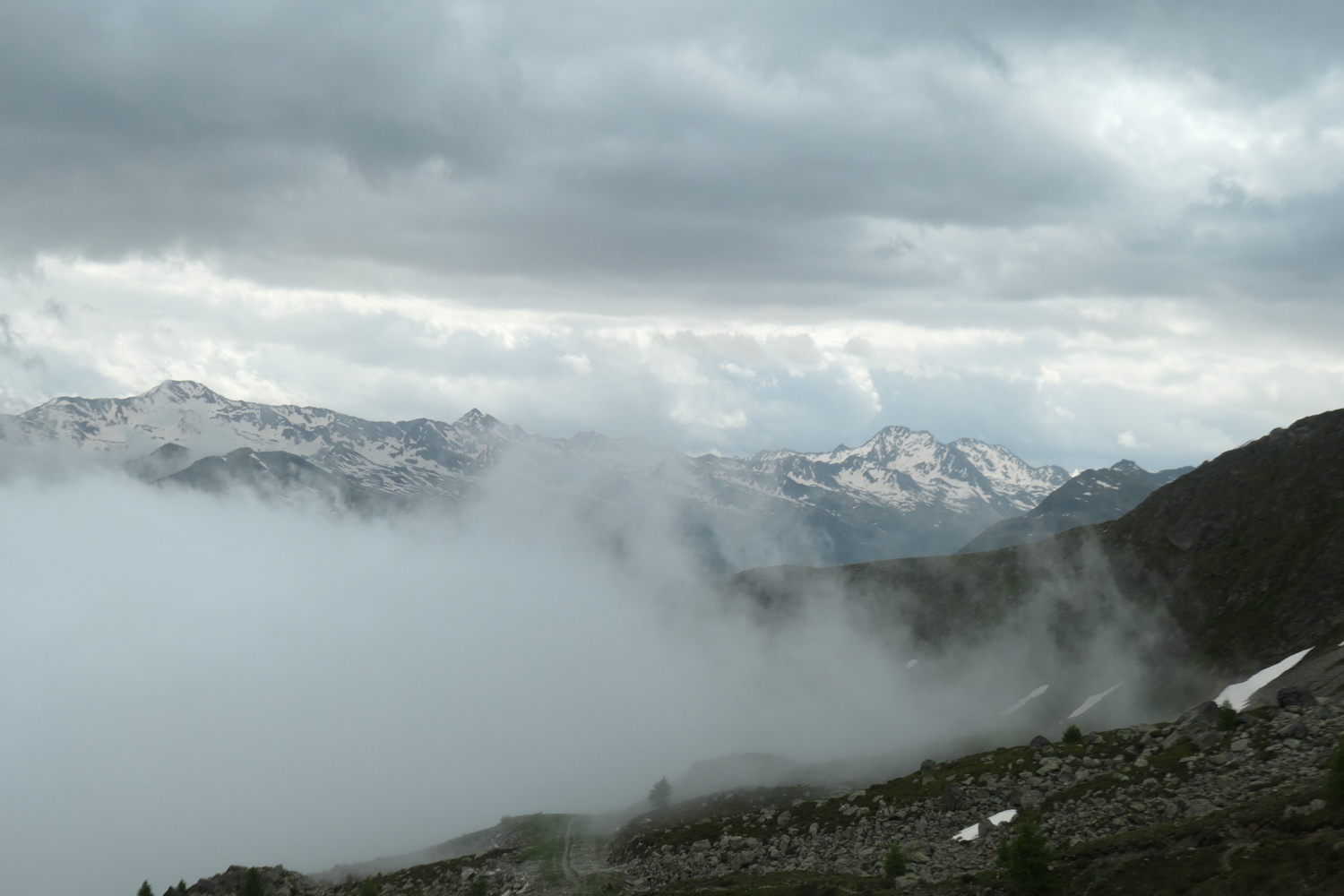 p1005419.jpg