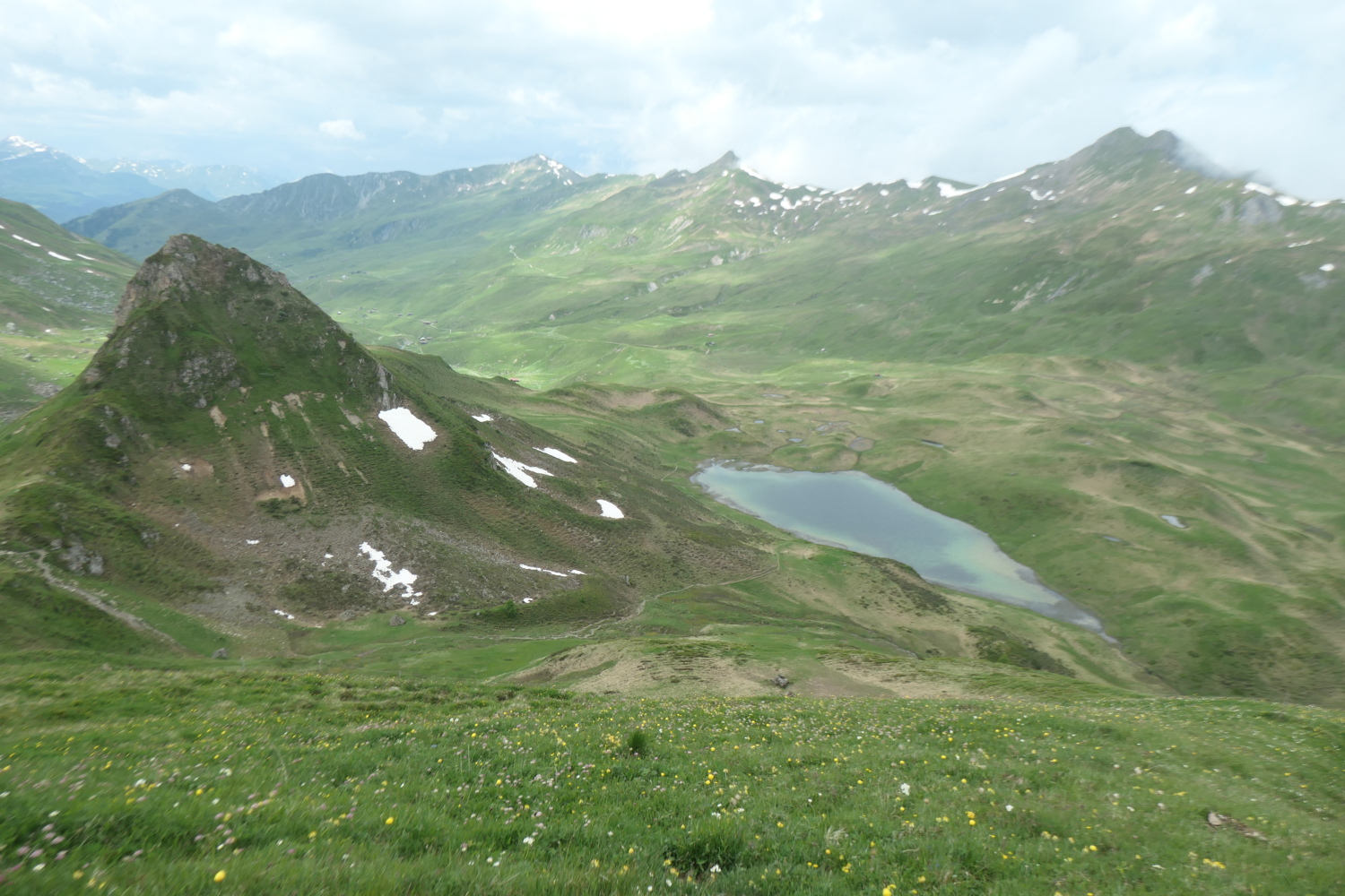 p1005432.jpg