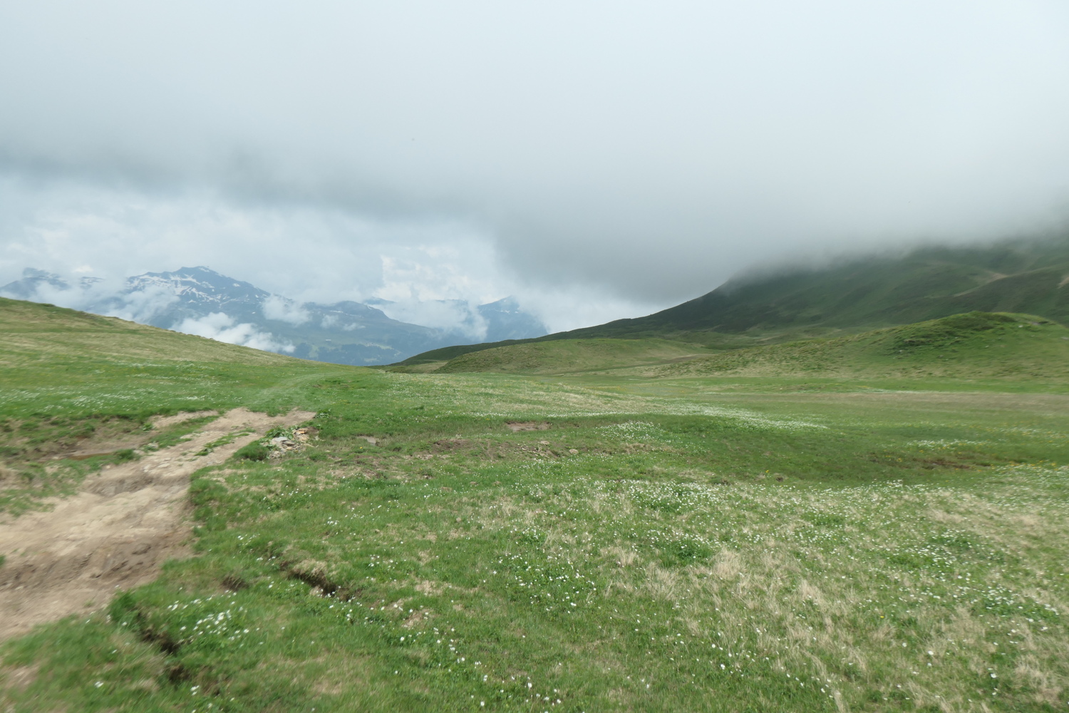 p1005437.jpg
