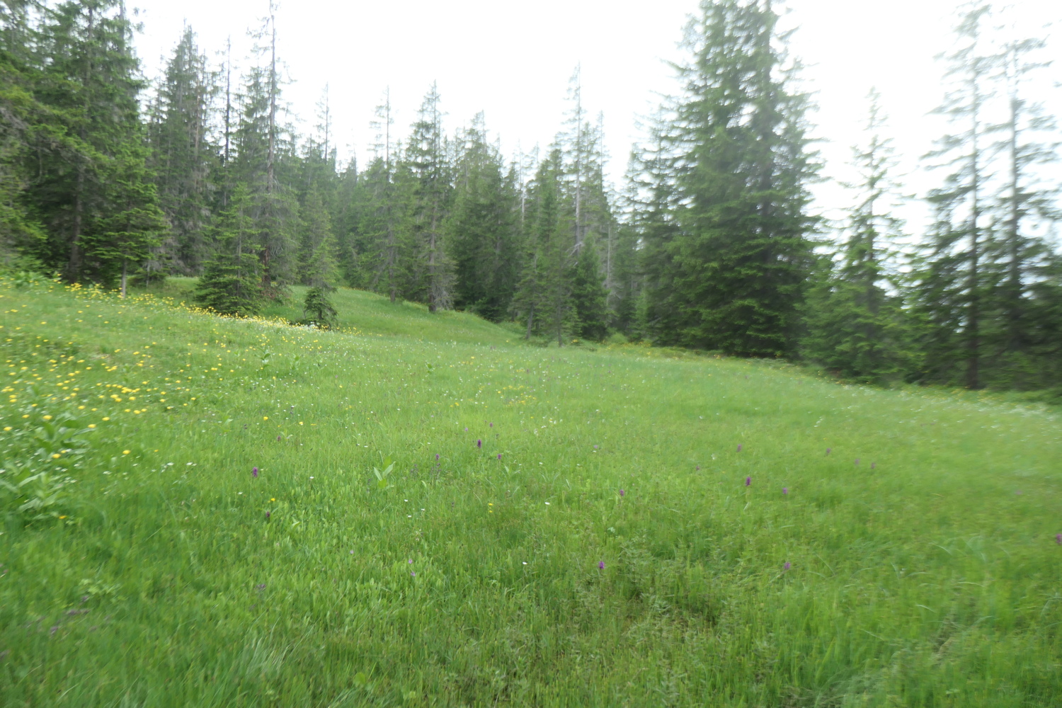 p1005438.jpg