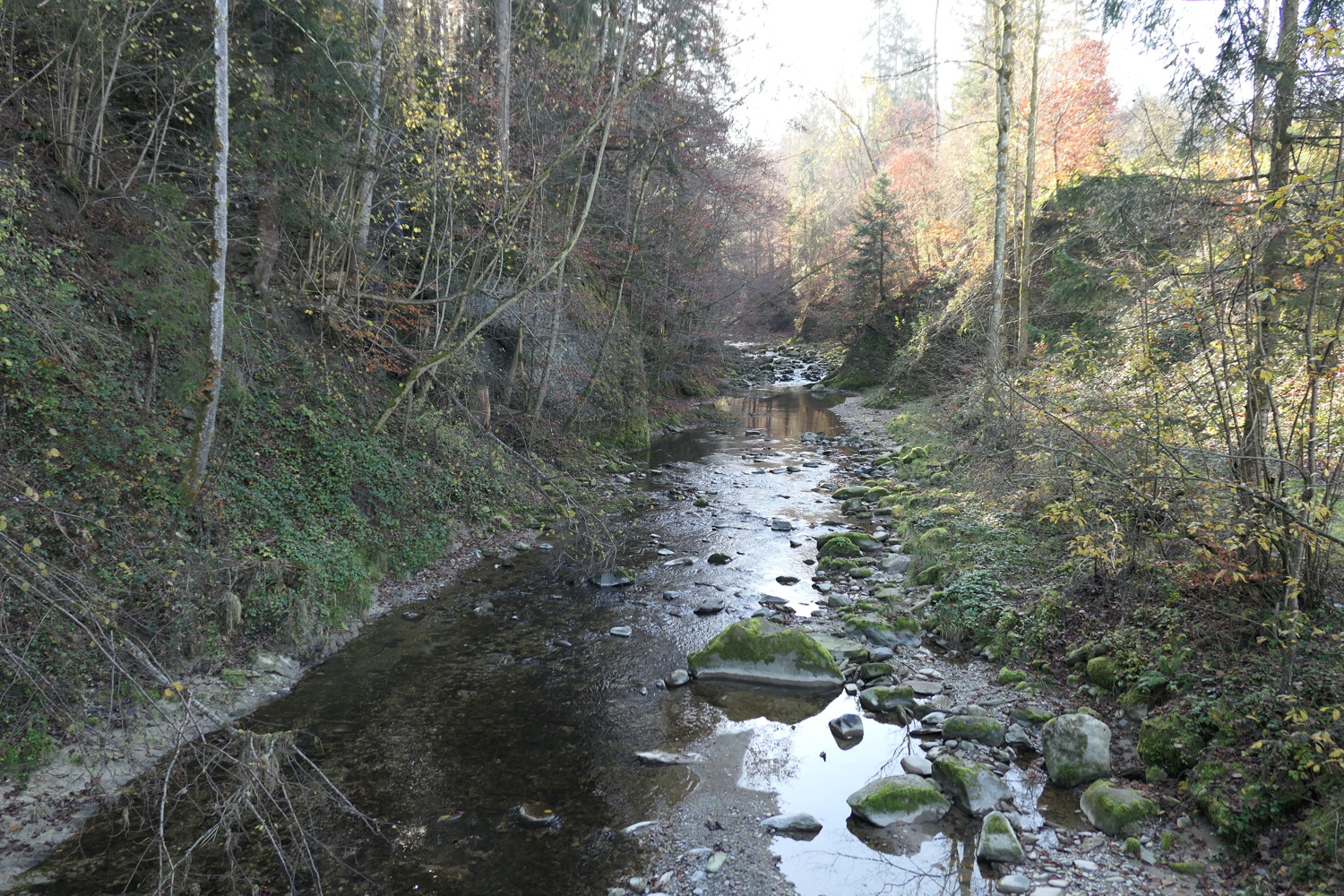 p1010037.jpg