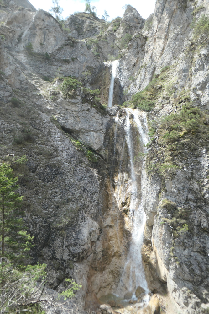 p1004736.jpg