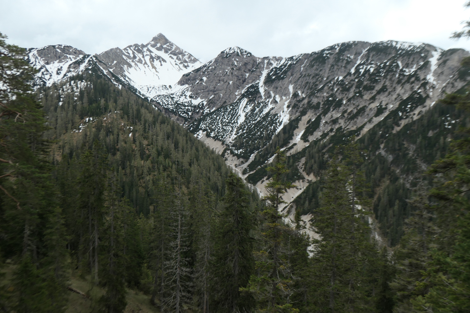 p1004745.jpg
