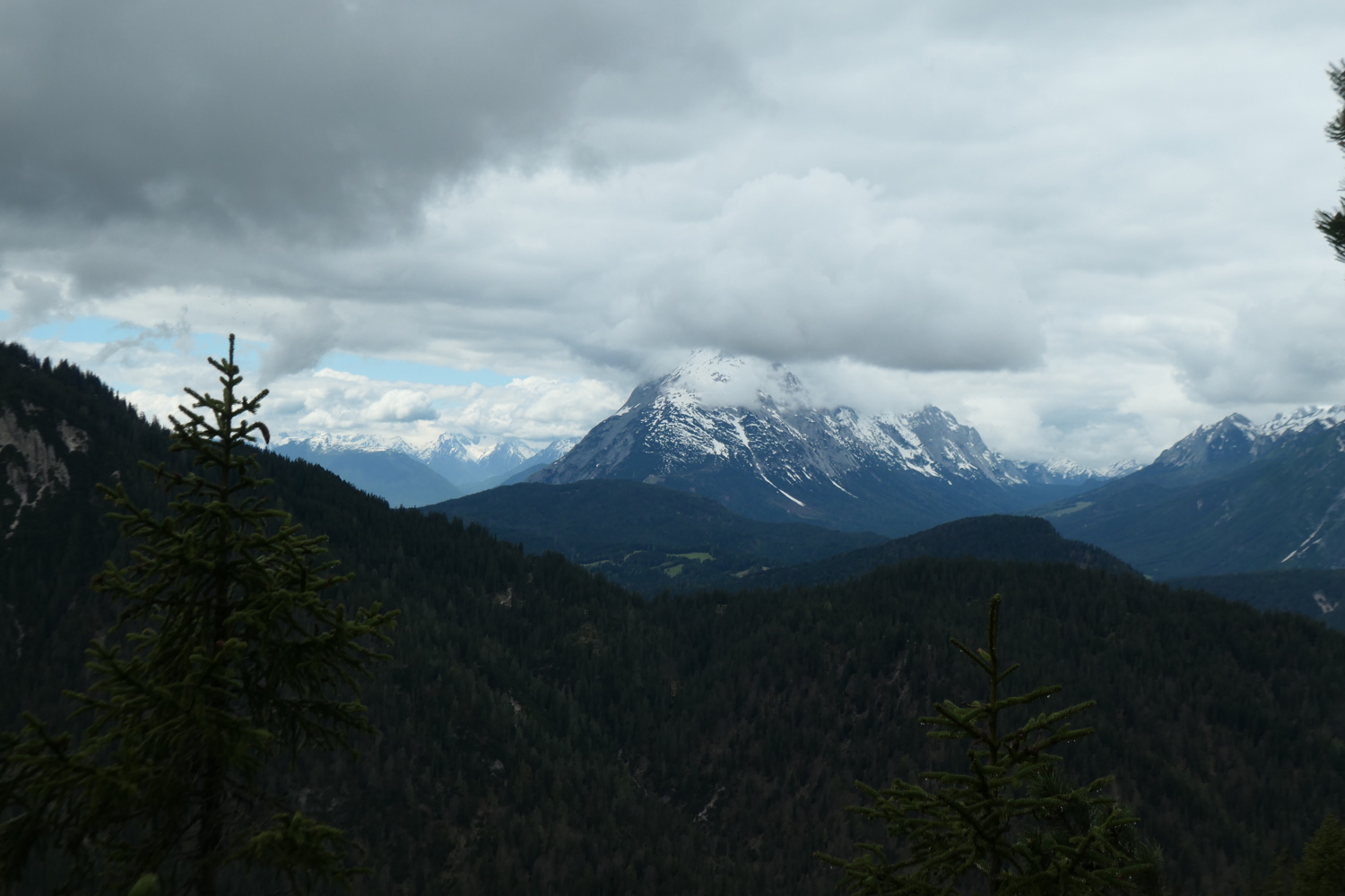 p1004746.jpg