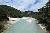 p1004735.jpg