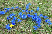 p1004744.jpg