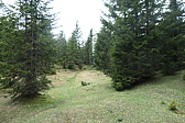 p1004754.jpg