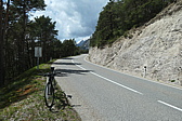 p1004759.jpg