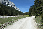 p1004768.jpg