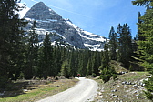 p1004779.jpg