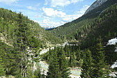 p1004786.jpg