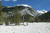 p1004800.jpg