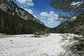 p1004805.jpg