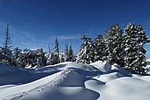 p1010073.jpg