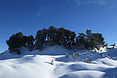 p1010078.jpg