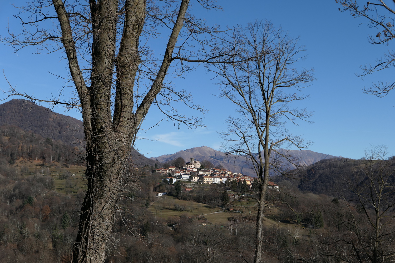 p1010230.jpg