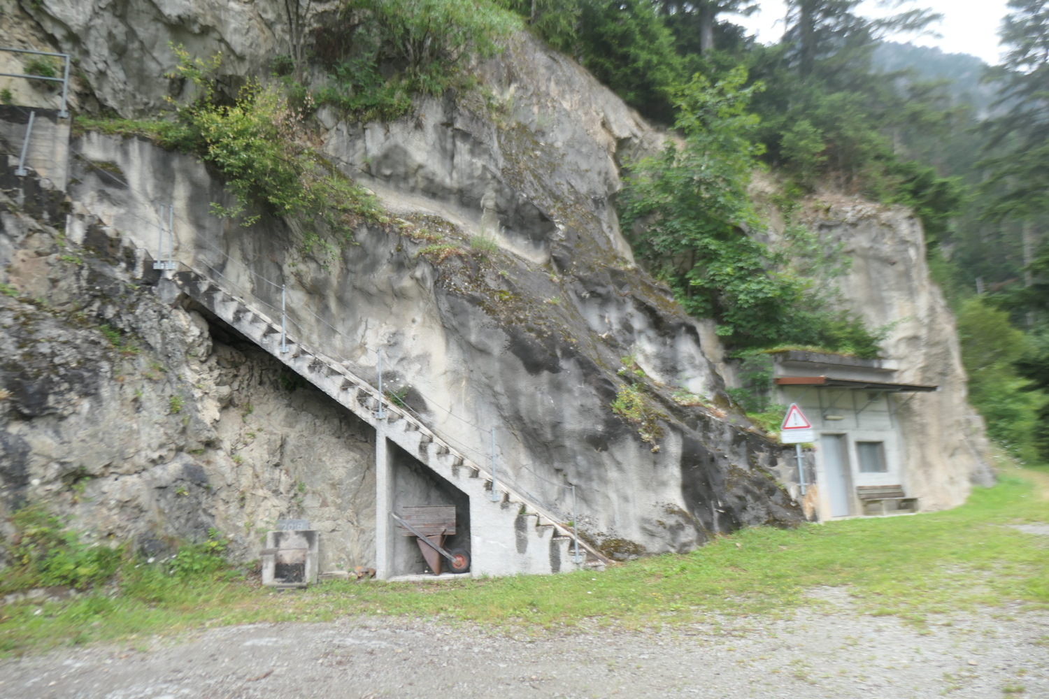 p1005534.jpg