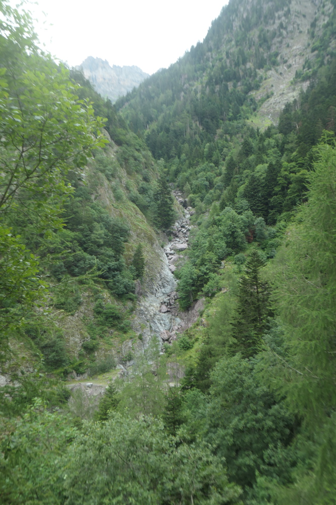 p1005536.jpg